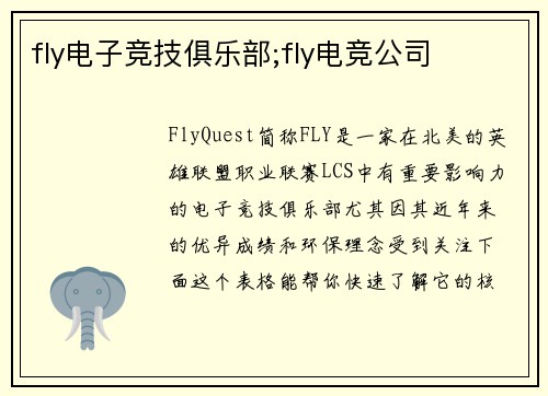 fly电子竞技俱乐部;fly电竞公司